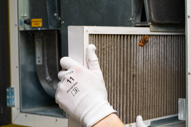 Best Local Air Duct Cleaning Services  in Oskaloosa, IA