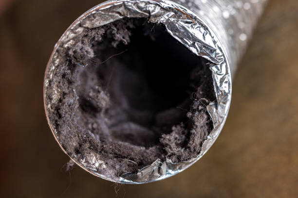 Best Emergency Air Duct Cleaning  in Oskaloosa, IA